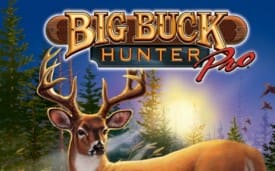BigBuckHunterPro